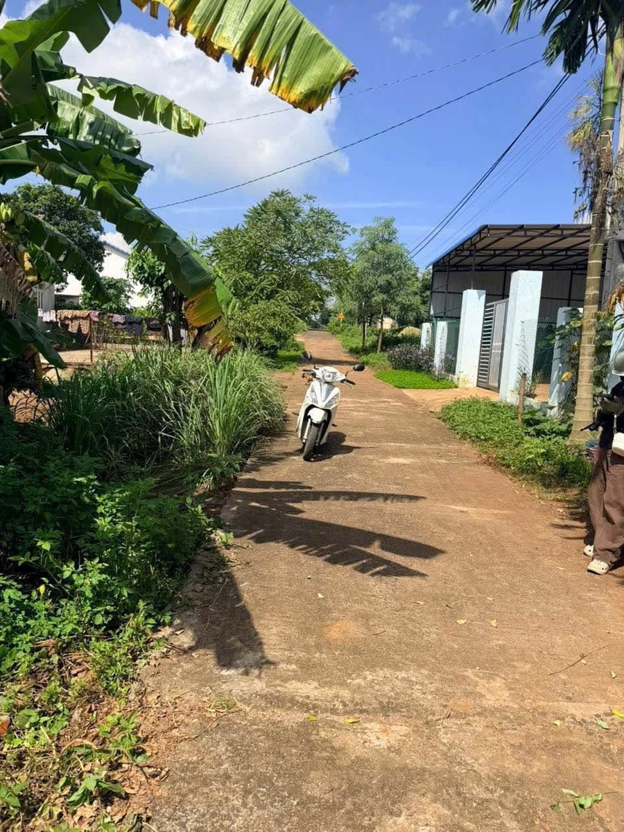 Bán lô đất thổ cư 234m² ở Hòa Xuân, 599 triệu - Ảnh thu nhỏ 4