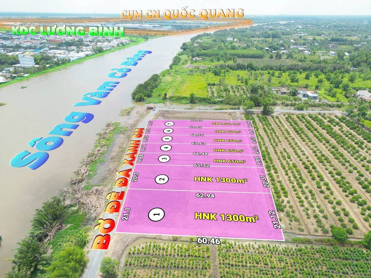 Bán đất mặt tiền sông Vàm Cỏ 1.300m² Cần Giờ 1,6 tỷ - Ảnh thu nhỏ 4