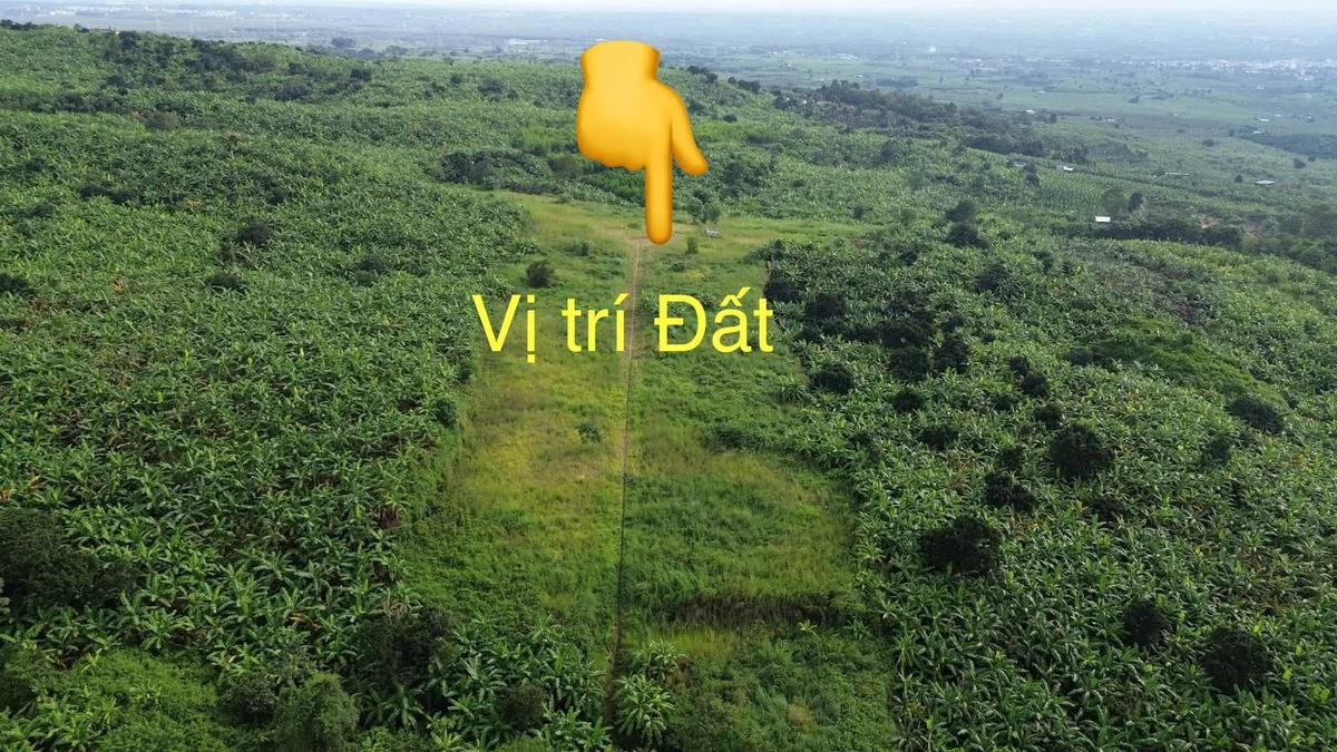 Bán đất 1.000m² mặt tiền Gia Kiệm, Đồng Nai 200 triệu - Ảnh thu nhỏ 5