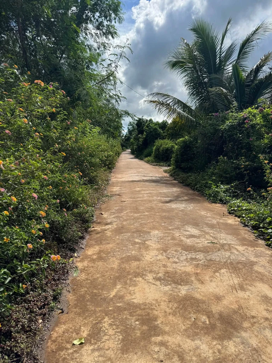 Bán đất 3000m² khu bàn cờ Xuân Đông Cẩm Mỹ Đồng Nai - Ảnh thu nhỏ 2