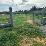 Bán đất quy hoạch thổ cư 1.2 sào Hàm Liêm 1 tỷ 150 triệu - Ảnh thu nhỏ 5