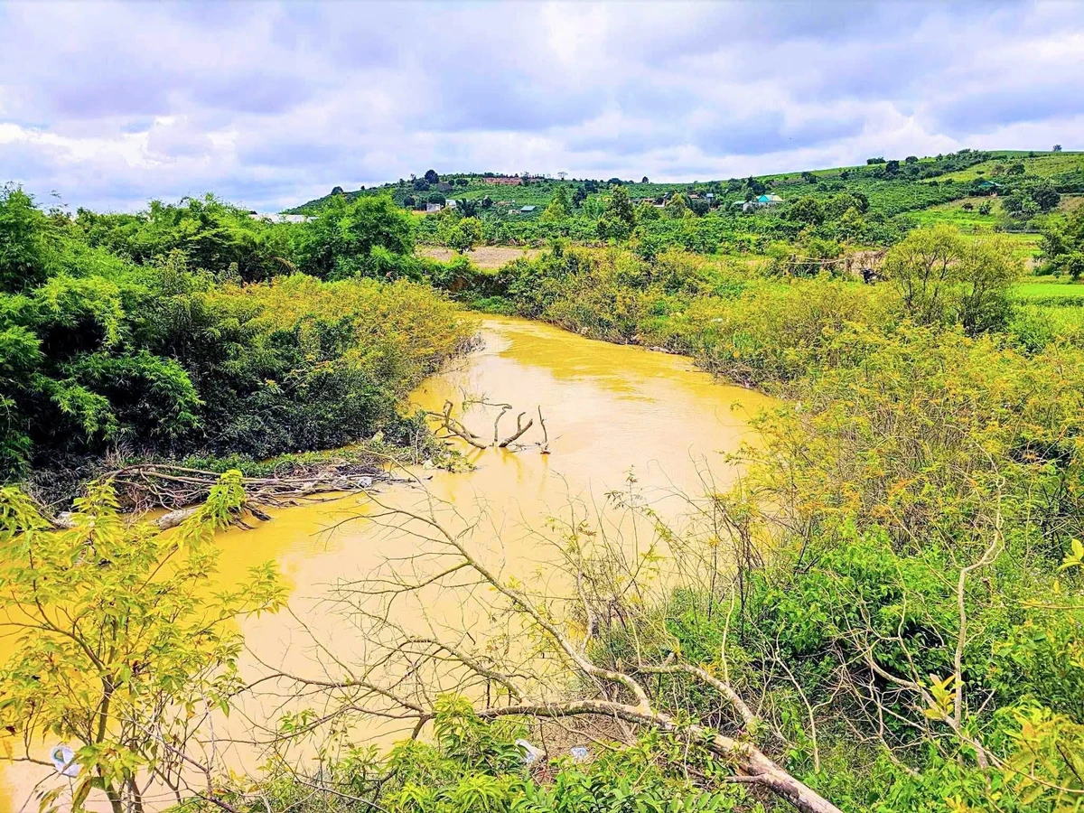 Bán đất 3,1 hectare thôn Phú Ao, Lâm Đồng - Ảnh thu nhỏ 3