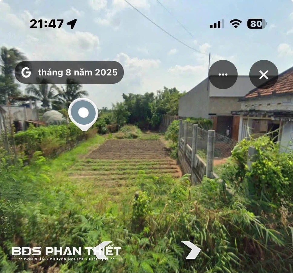 Bán đất Phan Thiết 375m² mặt tiền 14m hướng Đông - Ảnh thu nhỏ 4