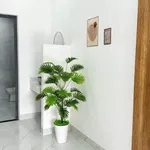 Bán nhà 3 lầu mặt tiền Lương Thế Vinh, 55 m², 4 tỷ 680 - Ảnh thu nhỏ 4