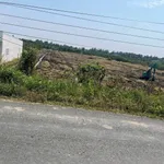 Bán đất mặt tiền 9000 m² tại xã An Thanh, Bình Dương - Ảnh thu nhỏ 2