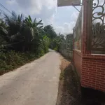Bán nhà cấp 4 200m² Ấp Tân Lược, Tân Hương, Đồng Tháp - Ảnh thu nhỏ 2