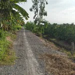 Bán đất ngộp Tân Thành Thủ Thừa 1000m2 giá 425 triệu - Ảnh thu nhỏ 4