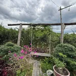 Bán nhà vườn 2 phòng 4.700m² hồ bơi Khánh Phú Nha Trang - Ảnh thu nhỏ 3