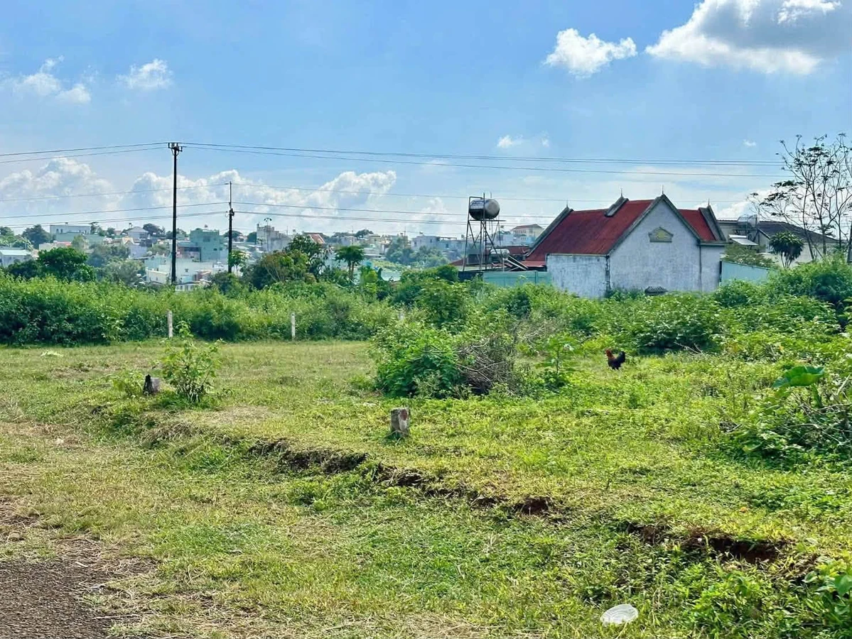 Bán đất hẻm Lý Thái Tổ 120m² gần chợ Bà Định - Ảnh thu nhỏ 3