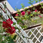 Bán nhà Nguyễn Trung Trực Đà Lạt 92m² 5.5 tỷ - Ảnh thu nhỏ 2