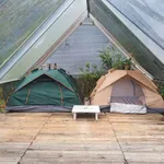 Cho thuê khu camping 4600m² gần hồ Xuân Hương 10 triệu/tháng - Ảnh thu nhỏ 2