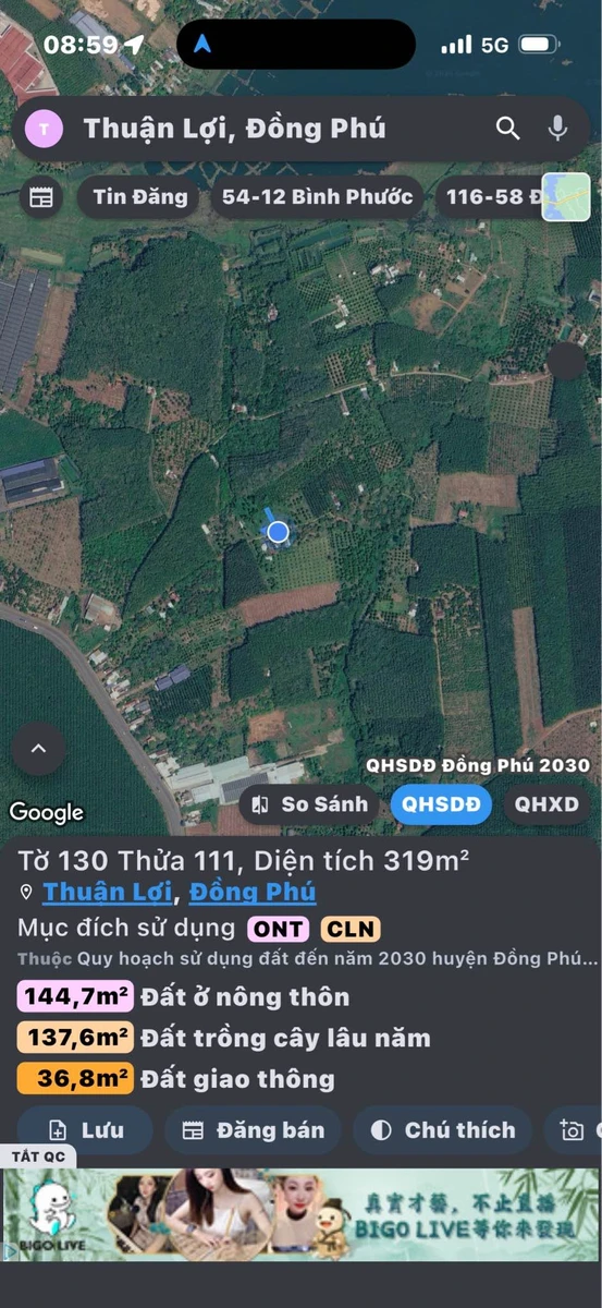 Bán lô đất 6x64x100 sào tại Đồng Phú, Bình Phước - Ảnh thu nhỏ 2