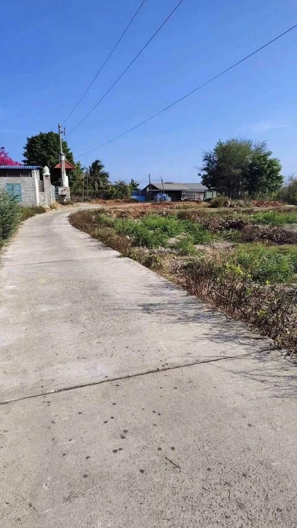 Bán đất Phường Hàm Thắng, Lâm Đồng, 100m², 499 triệu - Ảnh 1