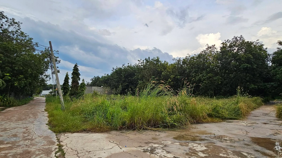Chính chủ bán đất 336,6m² gần đường Lê Duẩn, phường Chơn Thành, Đồng Nai giá 1,7 tỷ - Ảnh thu nhỏ 5