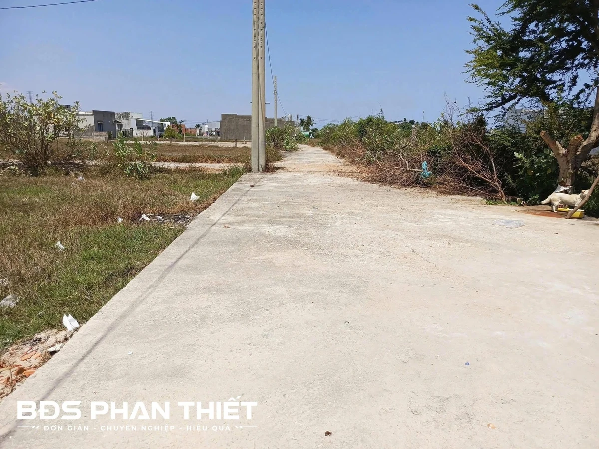 Bán đất mặt tiền Phan Thiết 1000m² giá 1.25 tỷ - Ảnh thu nhỏ 4