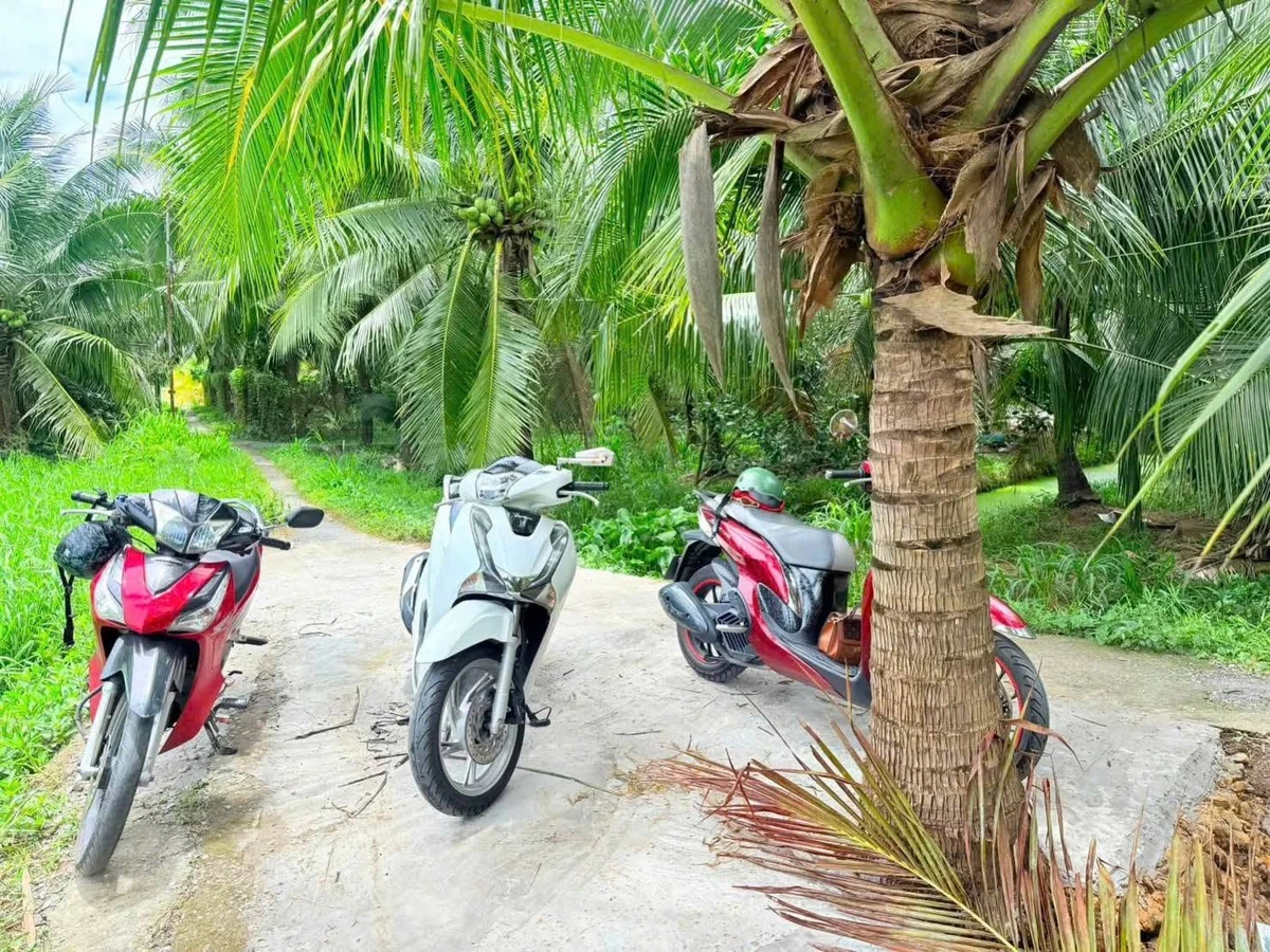 Bán nền đất 345m² Phú Khương 270 triệu - Ảnh 1