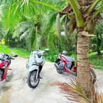 Bán nền đất 345m² Phú Khương 270 triệu - Ảnh thu nhỏ 1