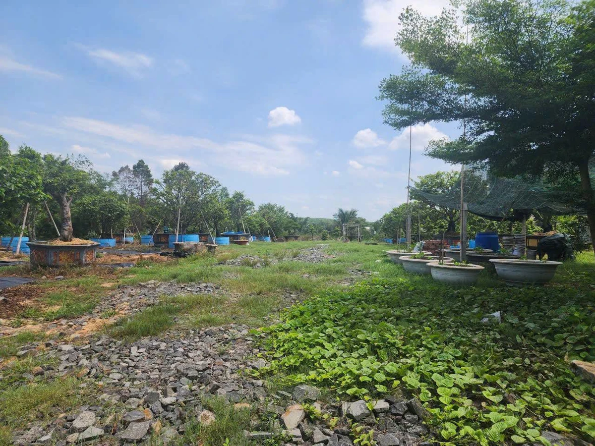 Bán đất 10.000m2 Xã Bình Minh, Đồng Nai 16 tỷ - Ảnh thu nhỏ 4