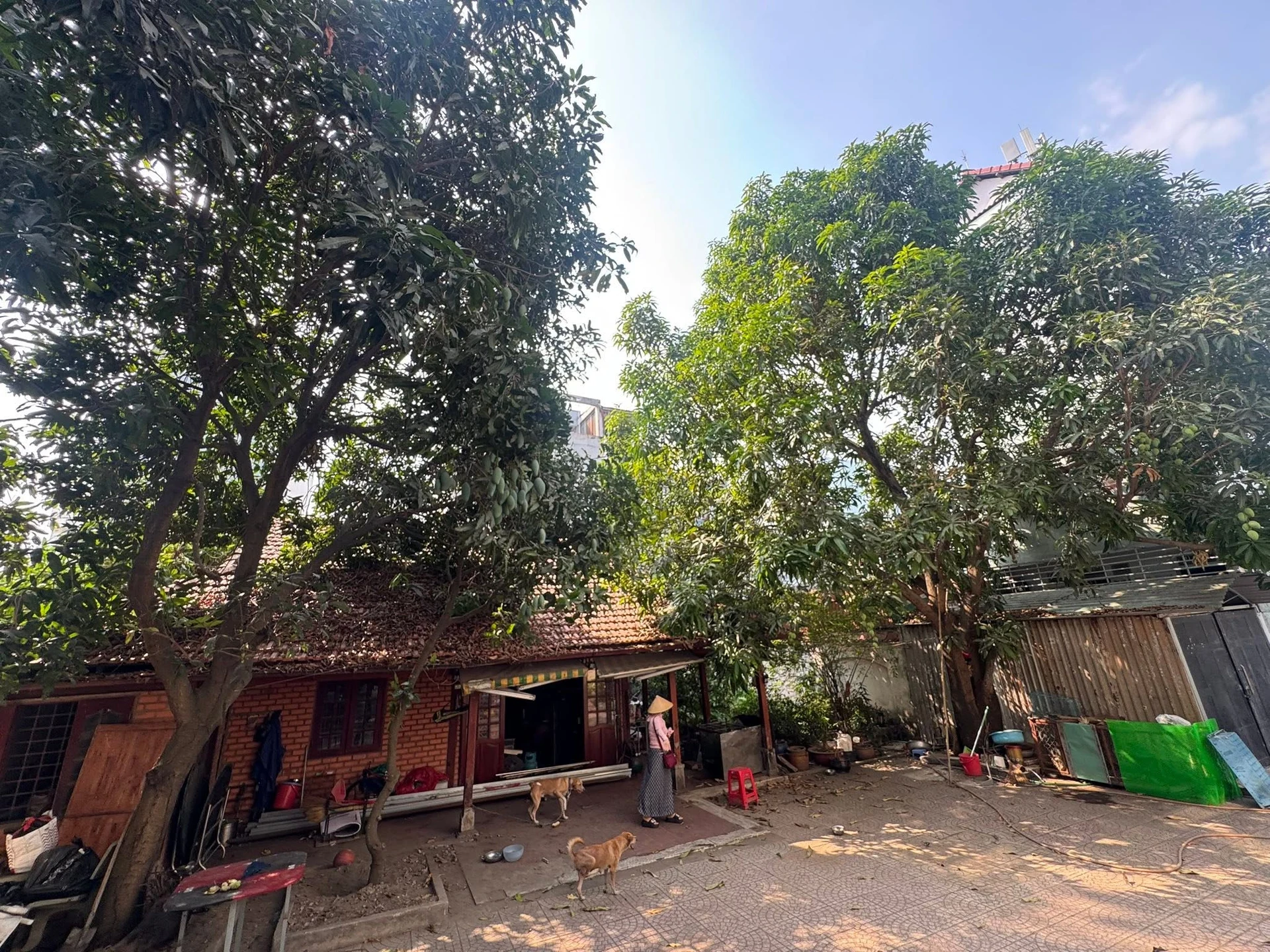 Bán biệt thự 886m2 Sông Hiệp Bình Chánh - Ảnh 1