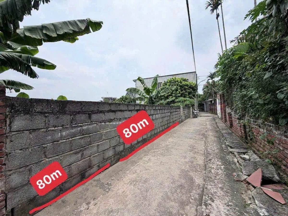 Bán đất nền 80m² Trung Hòa, Phú Nghĩa, Hà Nội, hơn 1 tỷ - Ảnh thu nhỏ 2