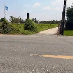 Bán đất 725,3m² có 150m² thổ cư mặt tiền đường Lê Văn Bụi, xã Vàm Cỏ, Tây Ninh - Ảnh thu nhỏ 1
