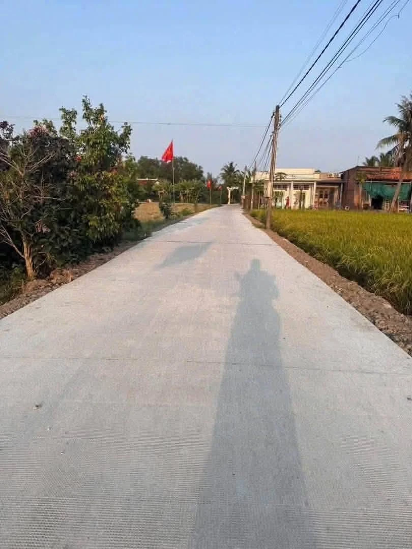Bán 910m2 đất vườn Mỹ Lệ, Cần Dước, Long An 1.55 tỷ - Ảnh thu nhỏ 3