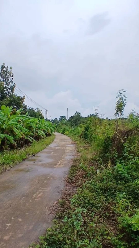 Bán đất 5700m2 Phú Vinh Mới, Đồng Nai, 2 tỷ