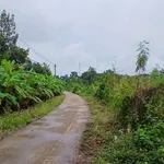 Bán đất 5700m2 Phú Vinh Mới, Đồng Nai, 2 tỷ - Ảnh thu nhỏ 1