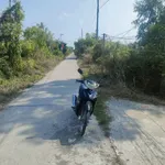 Bán nhà yến 1270m2 tại Thạnh Lợi, Tây Ninh, 4 tỷ - Ảnh thu nhỏ 4