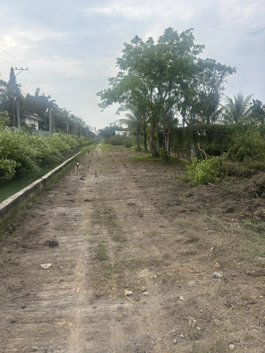 Bán đất tại Giồng Lớn, 7,5 triệu / m2, thổ cư 100%, view đẹp. - Ảnh thu nhỏ 2