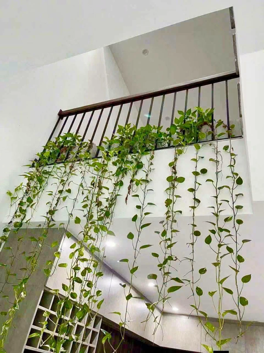 Bán nhà 3 tầng 100m² Mê Linh Đà Nẵng 7 tỷ - Ảnh thu nhỏ 4