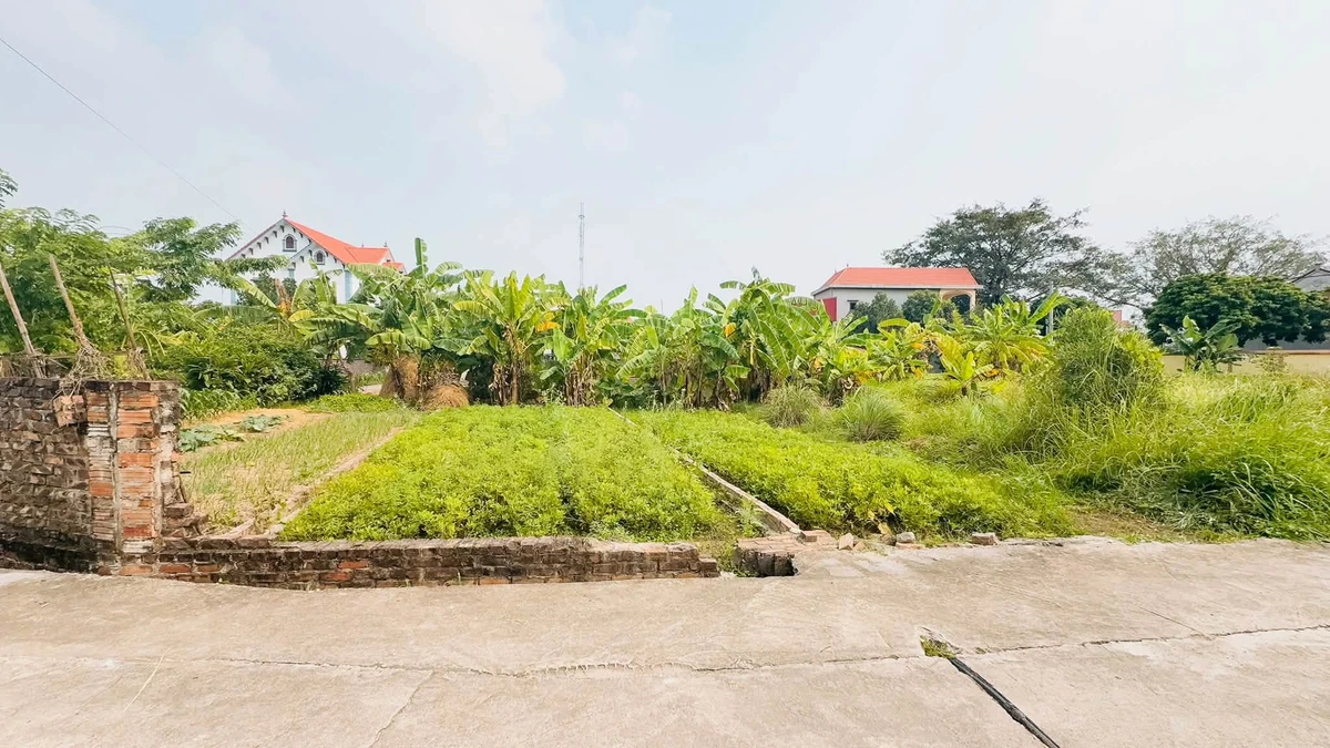 Bán đất 85,5m² Vĩnh Trại Lương Tài Bắc Ninh 1 tỷ 5 - Ảnh thu nhỏ 2