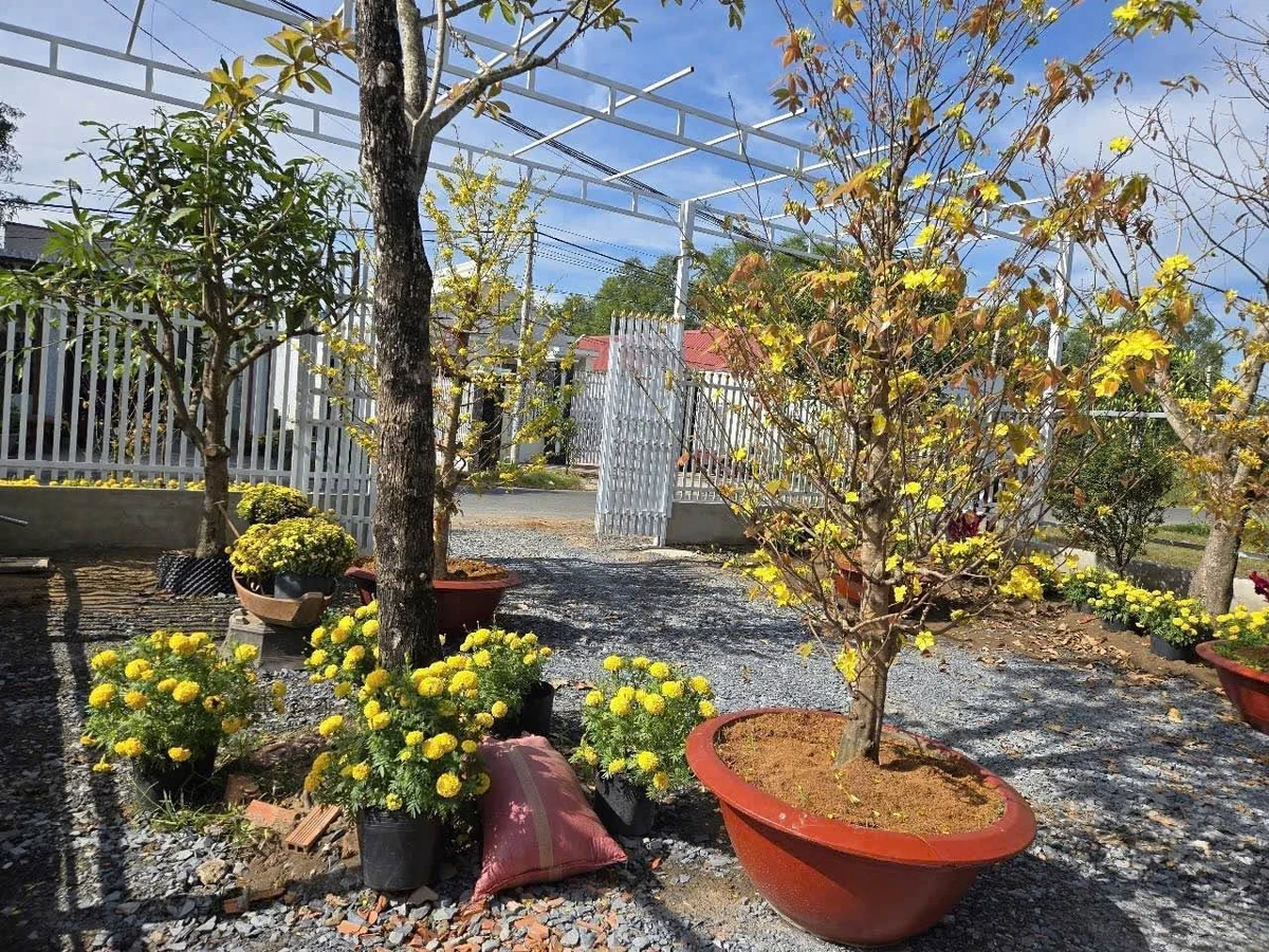 Bán 1.000m2 đất mặt tiền đường 3/2, Hậu Nghĩa, Đức Hòa, Long An, giá 6 tỷ - Ảnh thu nhỏ 3