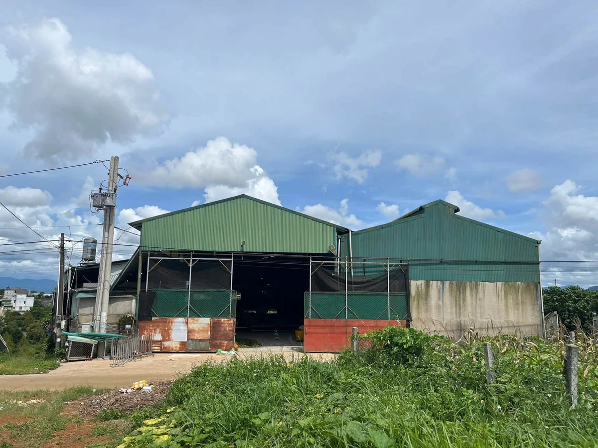 Bán kho xưởng cà phê 3.102m² giá 6 tỷ Bảo Lộc - Ảnh 1