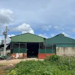 Bán kho xưởng cà phê 3.102m² giá 6 tỷ Bảo Lộc - Ảnh thu nhỏ 1