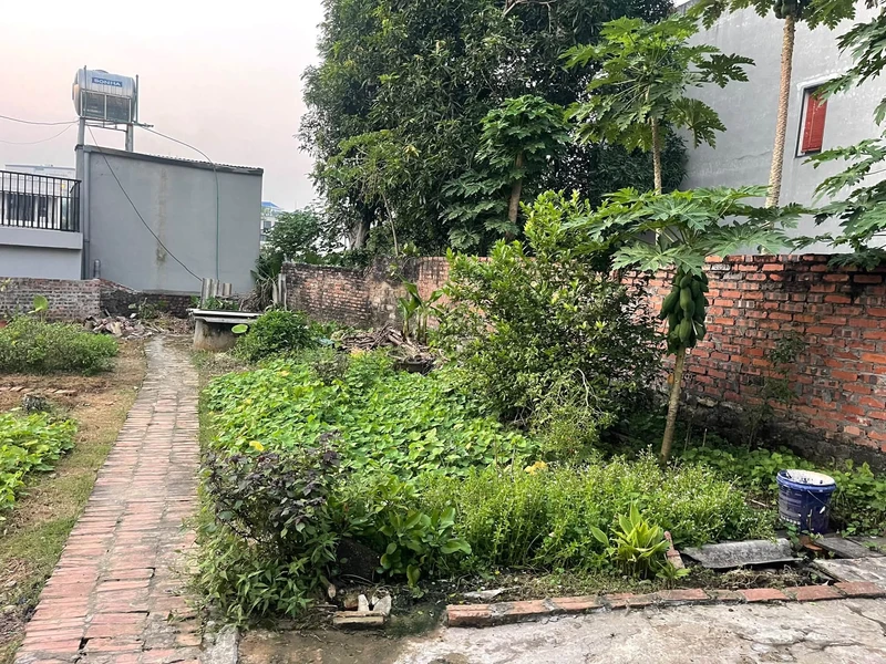 Bán đất Lăng Cẩm Việt Trì 90m² giá 2 tỷ