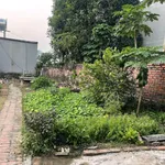 Bán đất Lăng Cẩm Việt Trì 90m² giá 2 tỷ - Ảnh thu nhỏ 1