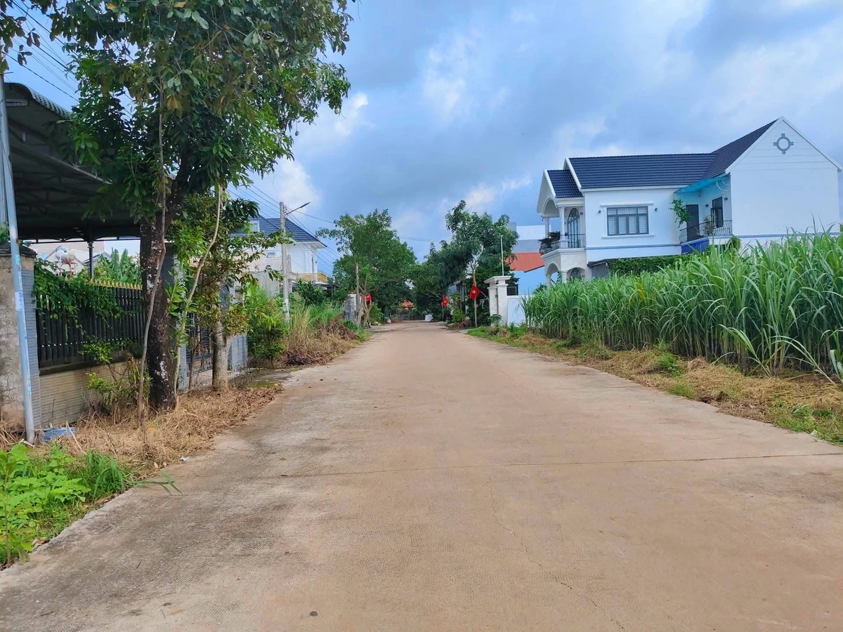 Bán đất Phường Tân Bình 100m2 - Ảnh thu nhỏ 2