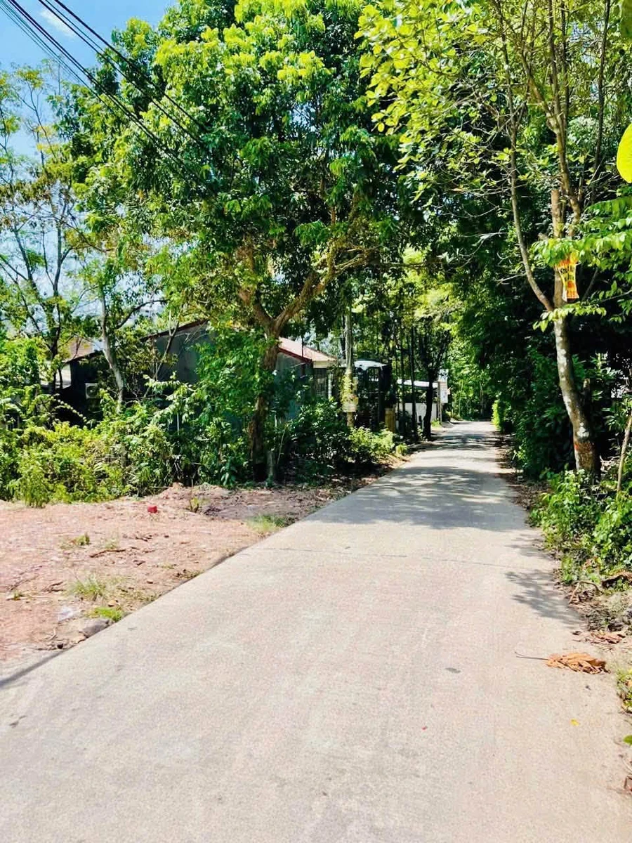Bán lô đất mặt tiền 100m² Minh Mạng, Huế - Ảnh thu nhỏ 2
