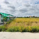 Bán đất thổ 4,5x14m giá 280 triệu đối diện trường học tại Đức Tân, Tân Trụ, Long An - Ảnh thu nhỏ 1