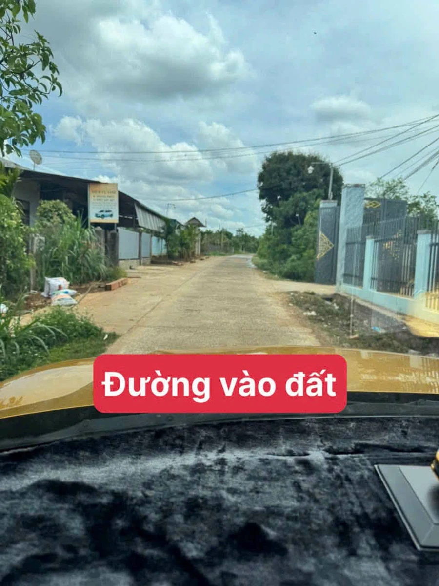 Bán đất 228m² Phú Xuân Krông Năng Đắk Lắk 239 triệu - Ảnh thu nhỏ 3
