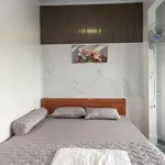 Nhà mặt tiền Tạ Uyên, Cà Mau 120m² 7PN, 5 tỷ - Ảnh thu nhỏ 4