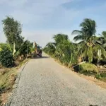 Bán đất 1052m2 loại HNK mặt tiền kênh, view sông tại xã Tân Thành, Thủ Thừa - Ảnh thu nhỏ 4