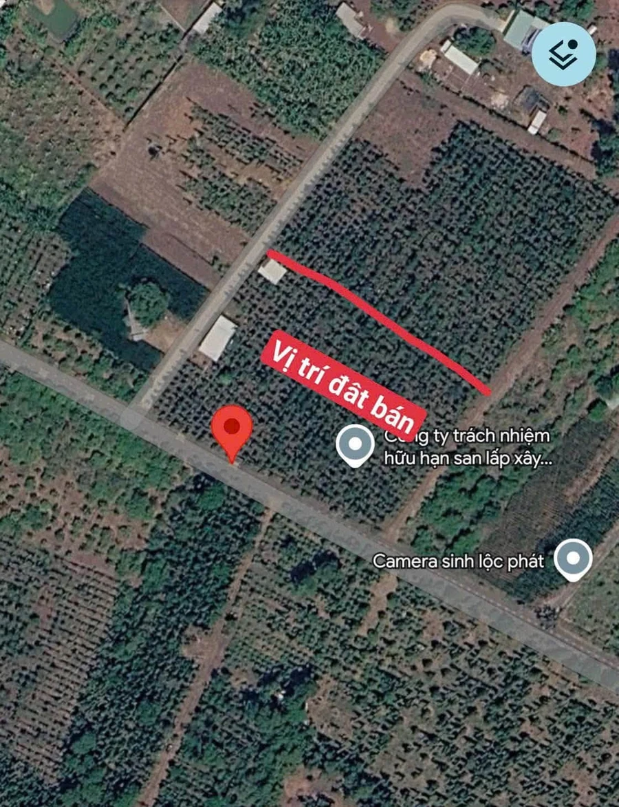 Bán đất Cẩm Mỹ Đồng Nai 5500m2 sổ hồng 11,5 tỷ - Ảnh thu nhỏ 4