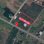 Bán đất Cẩm Mỹ Đồng Nai 5500m2 sổ hồng 11,5 tỷ - Ảnh thu nhỏ 4