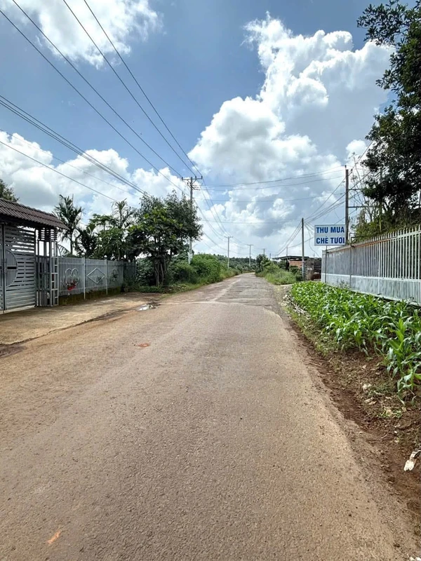 Bán nhà + kho xưởng mặt tiền 3.859m² Nguyễn Huệ, Bảo Lộc