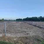 Bán đất nền mặt tiền đường Trần Nguyên Hãn, phường Vĩnh Lợi, Rạch Giá, 300m2, 700 triệu/nền - Ảnh thu nhỏ 3