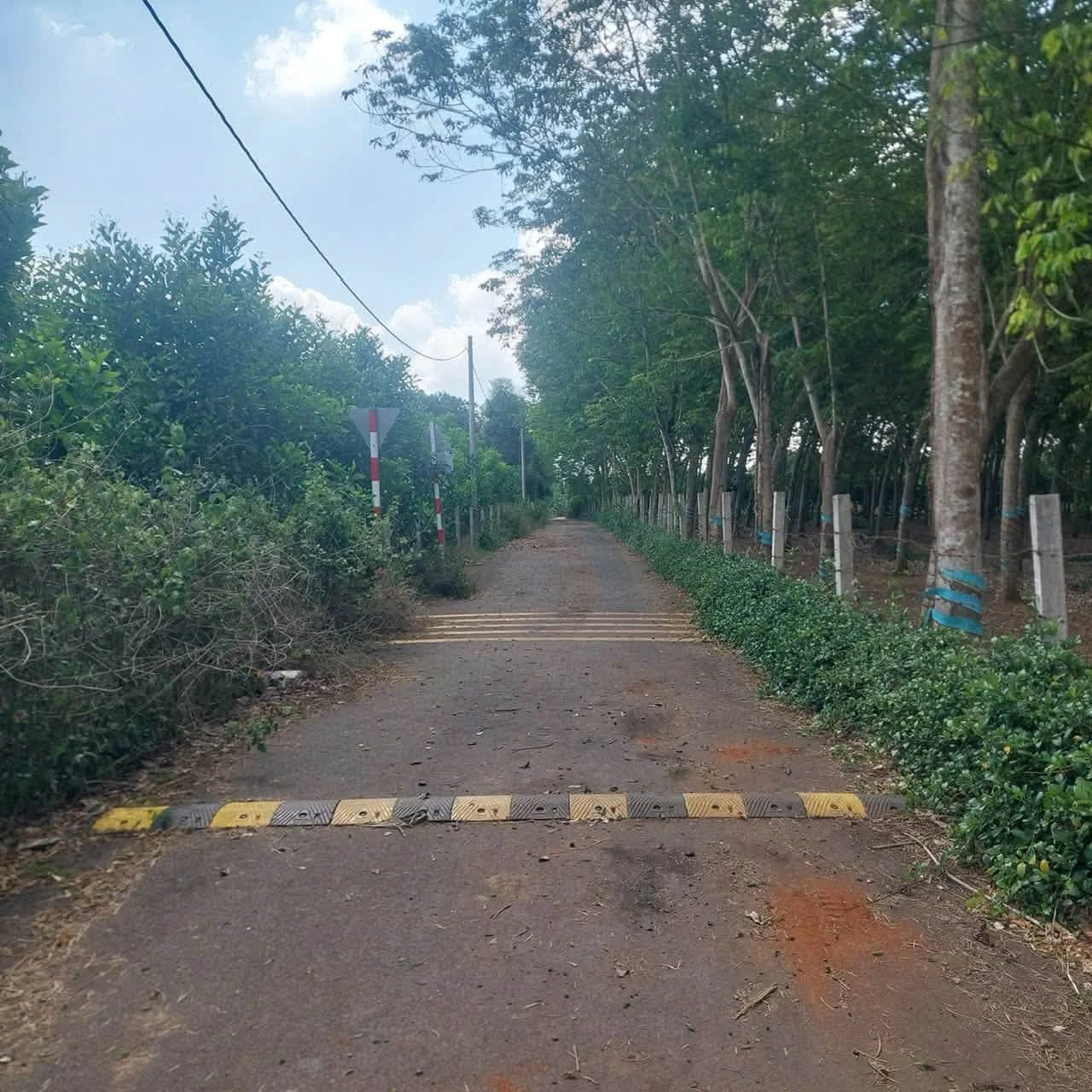 Bán đất Bình Giã 1.783m2, mặt tiền 20m - Ảnh 1