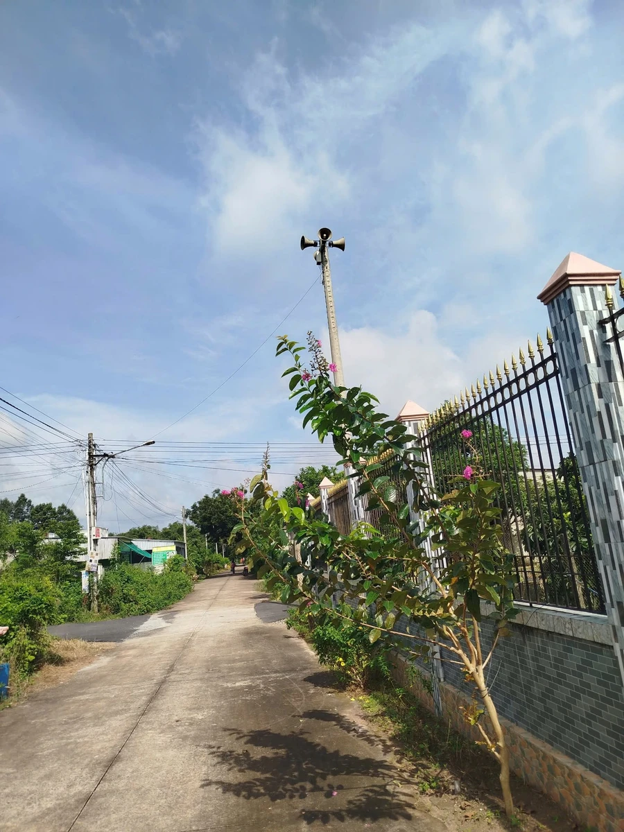 Bán đất thổ cư An Linh, Phú Giáo, 286m2, 350 triệu - Ảnh thu nhỏ 3