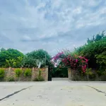 Bán 3.208m đất TMDV trung tâm Ninh Hòa vị trí đẹp, giá 6,5 triệu/m - Ảnh thu nhỏ 3
